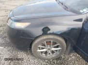 ✅ 2014 Acura TL Technology • VIN: 19UUA9F51EA000923 • Lot: 43561869. Listed on IAAI with 146,291 mi. Free auction sales archive from the USA and detailed vehicle history report at DreamBid. Image 6.