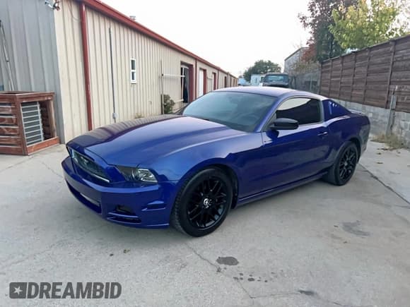 ✅ 2014 Ford Mustang V6 • VIN: 1ZVBP8AMXE5274365 • Лот: 93773655. Опубликован ранее на Copart с пробегом 125 628 миль. Бесплатный доступ к архиву аукционных продаж из США и подробный отчёт об истории автомобиля на DreamBid. Изображение 2.