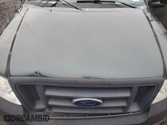 ✅ 2005 Ford F-150 XL • VIN: 1FTVF12575NB23159 • Lot: 84847554. Wystawiony na Copart z przebiegiem Nie podano. Bezpłatny archiwum sprzedaży aukcyjnych z USA i szczegółowy raport historii pojazdu na DreamBid. Zdjęcie 11.