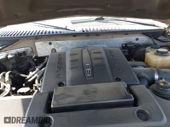 ✅ 2007 Lincoln Navigator • VIN: 5LMFU27567LJ25484 • Lot: 42052572. Wystawiony na IAAI z przebiegiem 168 050 mil. Bezpłatny archiwum sprzedaży aukcyjnych z USA i szczegółowy raport historii pojazdu na DreamBid. Zdjęcie 10.