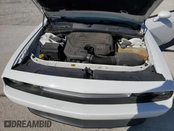 ✅ 2013 Dodge Challenger Rallye Redline • VIN: 2C3CDYAG6DH553947 • Lot: 46499975. Wystawiony na Copart z przebiegiem 95 138 mil. Bezpłatny archiwum sprzedaży aukcyjnych z USA i szczegółowy raport historii pojazdu na DreamBid. Zdjęcie 11.