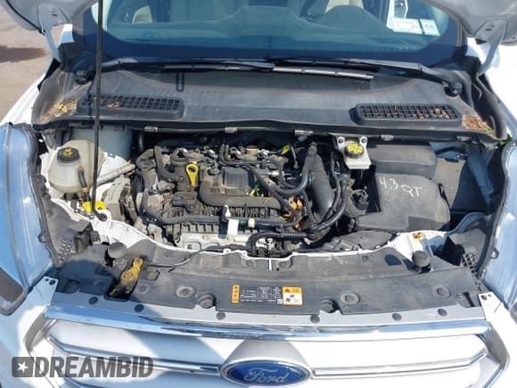 ✅ 2019 Ford Escape SE • VIN: 1FMCU9GD2KUB30688 • Лот: 42964835. Опубликован ранее на IAAI с пробегом 212 680 миль. Бесплатный доступ к архиву аукционных продаж из США и подробный отчёт об истории автомобиля на DreamBid. Изображение 10.