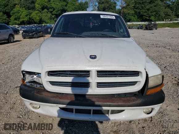 ✅ 1999 Dodge Dakota SLT • VIN: 1B7GL22X4XS274375 • Lot: 56431465. Listed on Copart with 168,327 mi. Free auction sales archive from the USA and detailed vehicle history report at DreamBid. Image 5.