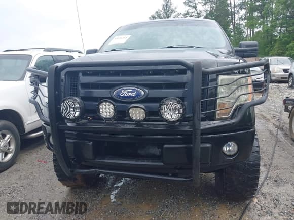 ✅ 2010 Ford F-150 XL • VIN: 1FTEX1EW7AFA75331 • Lot: 42226258. Listed on IAAI with 203,234 mi. Free auction sales archive from the USA and detailed vehicle history report at DreamBid. Image 13.