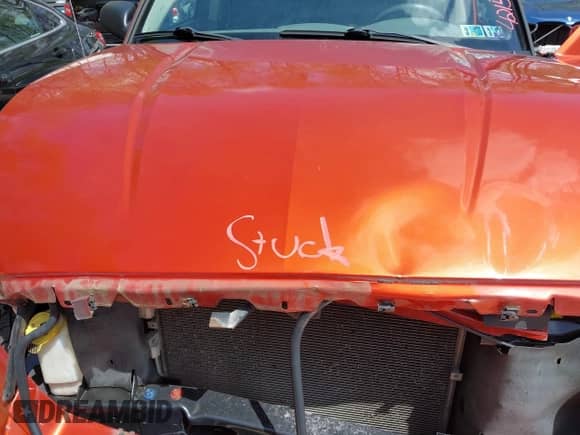 2007 Dodge Dakota SLT with VIN 1D7HW48K87S270838, listed as a IAAI auction lot 42150101 with 225,761 mi miles and . Bid and sale history available at DreamBid. Image 10.