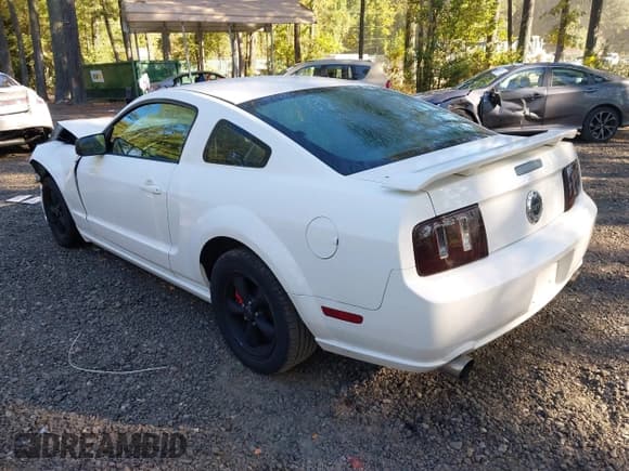 ✅ 2005 Ford Mustang GT Deluxe • VIN: 1ZVFT82HX55123301 • Lot: 43391120. Wystawiony na IAAI z przebiegiem 140 844 mil. Bezpłatny archiwum sprzedaży aukcyjnych z USA i szczegółowy raport historii pojazdu na DreamBid. Zdjęcie 3.