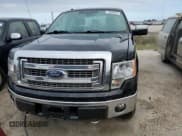 ✅ 2013 Ford F-150 XL • VIN: 1FTFX1EF2DFC38086 • Lot: 75994094. Wystawiony na Copart z przebiegiem Nie podano. Bezpłatny archiwum sprzedaży aukcyjnych z USA i szczegółowy raport historii pojazdu na DreamBid. Zdjęcie 5.