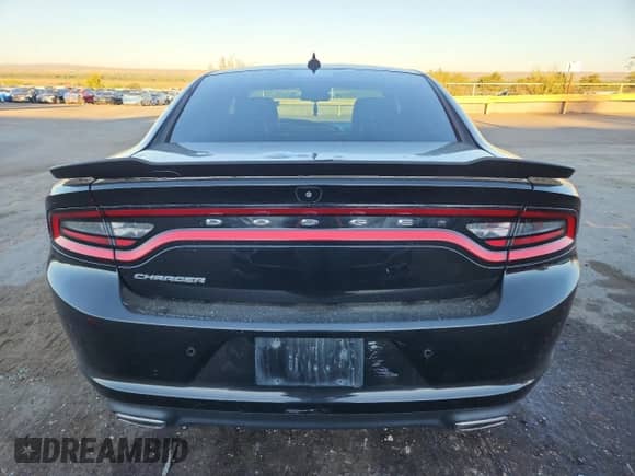 2019 Dodge Charger SXT with VIN 2C3CDXBG1KH666842, listed as a Copart auction lot 80399685 with 84,252 mi miles and Salvage title. Bid and sale history available at DreamBid. Image 6.