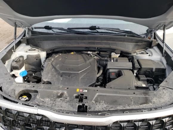 ✅ 2023 Kia Telluride EX X-Line • VIN: 5XYP3DGC0PG401582 • Lot: 83871985. Listed on Copart with 26,502 mi. Free auction sales archive from the USA and detailed vehicle history report at DreamBid. Image 12.