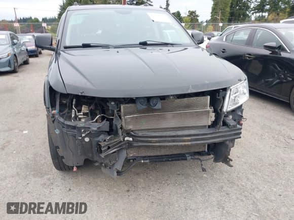 ✅ 2016 Dodge Journey R/T • VIN: 3C4PDDFG7GT102133 • Лот: 43316782. Опубликован ранее на IAAI с пробегом 80 573 миль. Бесплатный доступ к архиву аукционных продаж из США и подробный отчёт об истории автомобиля на DreamBid. Изображение 18.