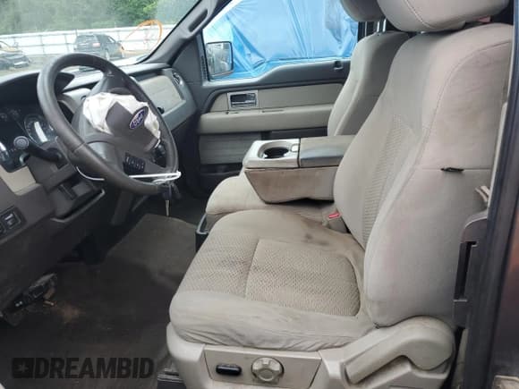 ✅ 2010 Ford F-150 XL • VIN: 1FTEX1E81AFB70386 • Lot: 56473345. Listed on Copart with 194,006 mi. Free auction sales archive from the USA and detailed vehicle history report at DreamBid. Image 7.