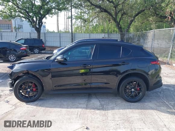 ✅ 2019 Alfa Romeo Stelvio Ti • VIN: ZASPAKBN6K7C46780 • Lot: 41925163. Wystawiony na IAAI z przebiegiem Nie podano. Bezpłatny archiwum sprzedaży aukcyjnych z USA i szczegółowy raport historii pojazdu na DreamBid. Zdjęcie 14.