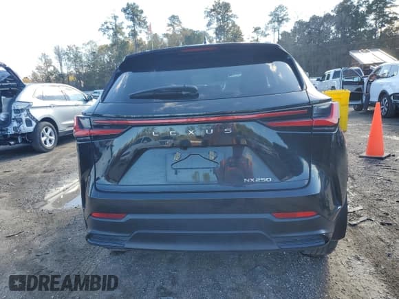 ✅ 2024 Lexus NX 250 Premium • VIN: 2T2GDCAZ8RC014499 • Lot: 87044554. Listed on Copart with 17,227 mi. Free auction sales archive from the USA and detailed vehicle history report at DreamBid. Image 6.