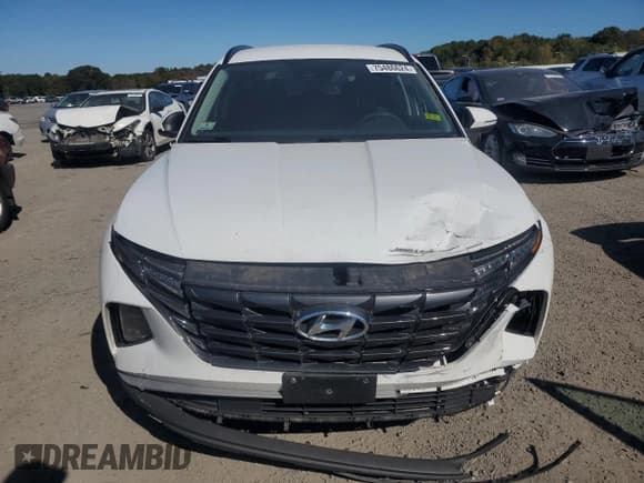 ✅ 2023 Hyundai Tucson SEL • VIN: 5NMJBCAE5PH252945 • Lot: 75486624. Wystawiony na Copart z przebiegiem 34 553 mil. Bezpłatny archiwum sprzedaży aukcyjnych z USA i szczegółowy raport historii pojazdu na DreamBid. Zdjęcie 5.