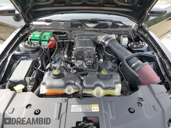 ✅ 2014 Ford Mustang GT • VIN: 1ZVBP8CF5E5272814 • Lot: 80300085. Listed on Copart with 31,319 mi. Free auction sales archive from the USA and detailed vehicle history report at DreamBid. Image 11.