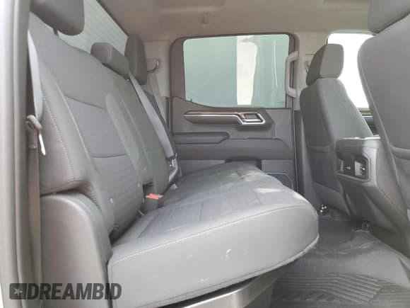 ✅ 2023 Chevrolet Silverado 1500 LT Trail Boss • VIN: 3GCUDFE88PG115832 • Lot: 48761895. Wystawiony na Copart z przebiegiem 57 479 mil. Bezpłatny archiwum sprzedaży aukcyjnych z USA i szczegółowy raport historii pojazdu na DreamBid. Zdjęcie 10.