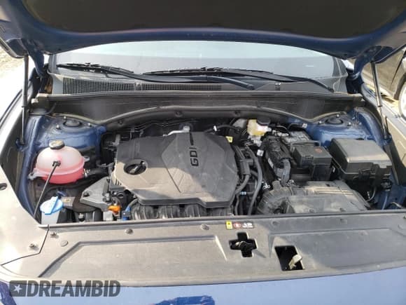 ✅ 2022 Hyundai Santa Fe SEL • VIN: 5NMS34AJXNH417597 • Lot: 43951654. Wystawiony na Copart z przebiegiem 38 318 mil. Bezpłatny archiwum sprzedaży aukcyjnych z USA i szczegółowy raport historii pojazdu na DreamBid. Zdjęcie 12.