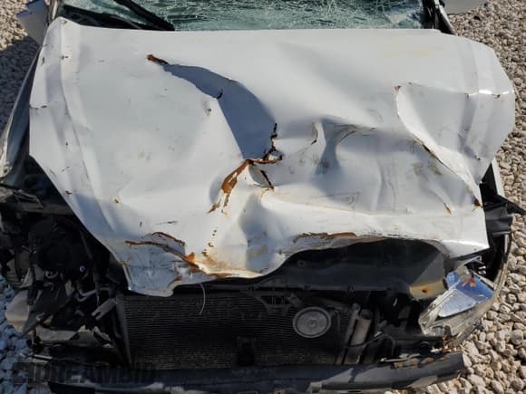 ✅ 2009 Hyundai Accent Auto GLS • VIN: KMHCN46C09U387349 • Лот: 47003395. Опубликован ранее на Copart с пробегом 368 208 миль. Бесплатный доступ к архиву аукционных продаж из США и подробный отчёт об истории автомобиля на DreamBid. Изображение 12.