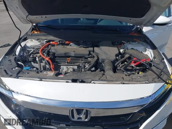 ✅ 2019 Honda Accord • VIN: 1HGCV3F12KA000418 • Lot: 43529678. Listed on IAAI with 51,187 mi. Free auction sales archive from the USA and detailed vehicle history report at DreamBid. Image 10.