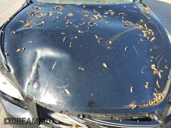 ✅ 2011 Infiniti M • VIN: JN1BY1AP5BM325874 • Lot: 81398365. Listed on Copart with 154,713 mi. Free auction sales archive from the USA and detailed vehicle history report at DreamBid. Image 11.