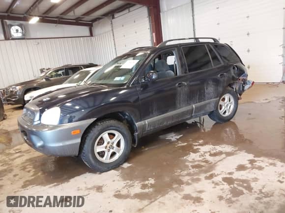 2004 Hyundai Santa Fe GLS с VIN KM8SC73D84U833286, выставлен на аукционе IAAI как лот 41644780 с пробегом 160 313 миль миль и . История ставок и продаж доступна на DreamBid. Изображение 2.