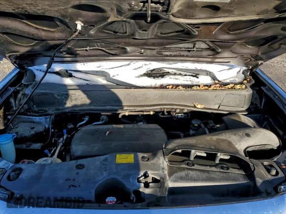 ✅ 2015 Honda Pilot EX-L • VIN: 5FNYF4H52FB003887 • Lot: 94680905. Listed on Copart with 172,770 mi. Free auction sales archive from the USA and detailed vehicle history report at DreamBid. Image 12.