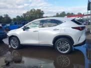 ✅ 2025 Lexus NX 350 Luxury • VIN: 2T2HGCEZ5SC080407 • Лот: 43490175. Опубликован ранее на IAAI с пробегом 6 860 миль. Бесплатный доступ к архиву аукционных продаж из США и подробный отчёт об истории автомобиля на DreamBid. Изображение 14.
