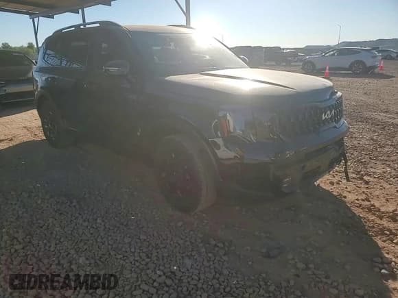 ✅ 2024 Kia Telluride SX X-Pro • VIN: 5XYP5DGC2RG507464 • Lot: 89888605. Listed on Copart with 28,142 mi. Free auction sales archive from the USA and detailed vehicle history report at DreamBid. Image 14.