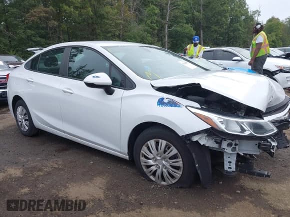 ✅ 2019 Chevrolet Cruze LS • VIN: 1G1BC5SM7K7147173 • Lot: 43303851. Listed on IAAI with 97,811 mi. Free auction sales archive from the USA and detailed vehicle history report at DreamBid. Image 13.