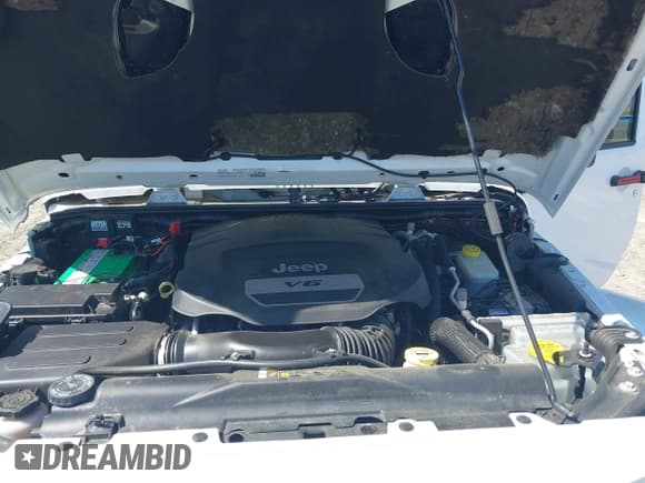 ✅ 2017 Jeep Wrangler Unlimited Rubicon • VIN: 1C4BJWFG9HL695361 • Lot: 42010655. Wystawiony na IAAI z przebiegiem 65 536 mil. Bezpłatny archiwum sprzedaży aukcyjnych z USA i szczegółowy raport historii pojazdu na DreamBid. Zdjęcie 10.