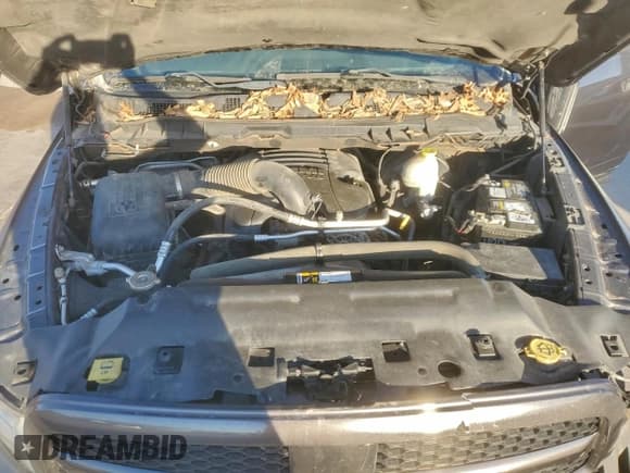 ✅ 2015 Ram 1500 Big Horn • VIN: 1C6RR7LT5FS689047 • Lot: 95657855. Listed on Copart with 119,403 mi. Free auction sales archive from the USA and detailed vehicle history report at DreamBid. Image 11.