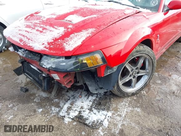 ✅ 2003 Ford Mustang SVT Cobra • VIN: 1FAFP49Y93F443647 • Lot: 43658707. Wystawiony na IAAI z przebiegiem 146 670 mil. Bezpłatny archiwum sprzedaży aukcyjnych z USA i szczegółowy raport historii pojazdu na DreamBid. Zdjęcie 6.