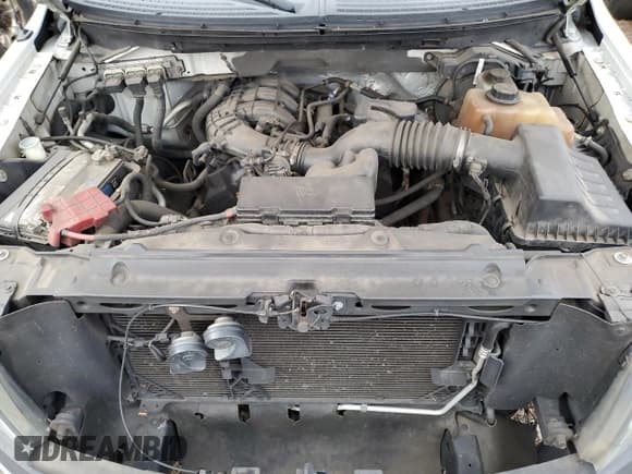 ✅ 2011 Ford F-150 XL • VIN: 1FTMF1EM3BKD15836 • Lot: 41519785. Listed on Copart with 200,269 mi. Free auction sales archive from the USA and detailed vehicle history report at DreamBid. Image 11.