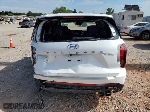 ✅ 2025 Hyundai Palisade Limited • VIN: KM8R54GE3SU829914 • Лот: 62075815. Размещён на Copart с пробегом 10 659 миль миль. Получите бесплатный доступ к архиву аукционных продаж из США и посмотрите подробный отчёт об истории автомобиля на DreamBid. Изображение 6.