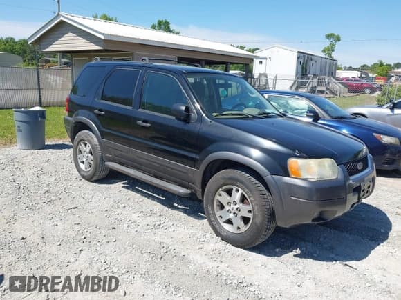 ✅ 2004 Ford Escape XLT • VIN: 1FMYU03124KA37410 • Lot: 42201726. Wystawiony na IAAI z przebiegiem 151 450 mil. Bezpłatny archiwum sprzedaży aukcyjnych z USA i szczegółowy raport historii pojazdu na DreamBid. Zdjęcie 1.