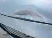 2016 Hyundai Sonata SE with VIN 5NPE24AF1GH369876, listed as a IAAI auction lot 43036659 with 115,889 mi miles and . Bid and sale history available at DreamBid. Image 15.