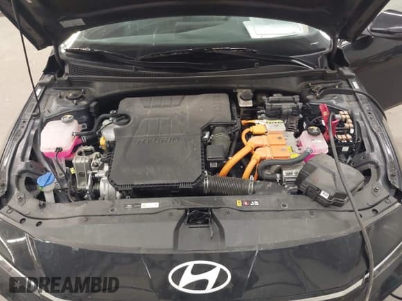 ✅ 2024 Hyundai Elantra Limited • VIN: KMHLN4DJ7RU114121 • Лот: 43253574. Опубликован ранее на IAAI с пробегом 35 101 миль. Бесплатный доступ к архиву аукционных продаж из США и подробный отчёт об истории автомобиля на DreamBid. Изображение 10.