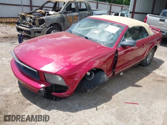 ✅ 2005 Ford Mustang Deluxe • VIN: 1ZVFT84N655253370 • Lot: 42228590. Listed on IAAI with 173,753 mi. Free auction sales archive from the USA and detailed vehicle history report at DreamBid. Image 2.