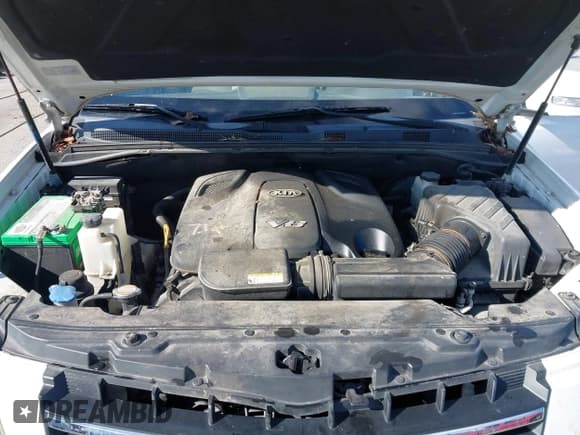 ✅ 2009 Kia Borrego Limited • VIN: KNDJJ742195021087 • Lot: 40806114. Listed on IAAI with Not provided. Free auction sales archive from the USA and detailed vehicle history report at DreamBid. Image 10.