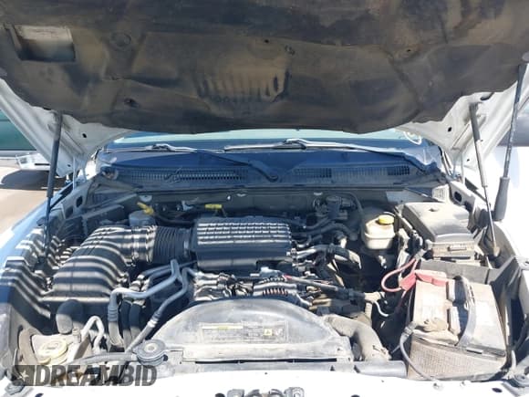 ✅ 2005 Dodge Dakota ST • VIN: 1D7HE28N45S218668 • Lot: 42276061. Wystawiony na IAAI z przebiegiem 141 724 mil. Bezpłatny archiwum sprzedaży aukcyjnych z USA i szczegółowy raport historii pojazdu na DreamBid. Zdjęcie 10.