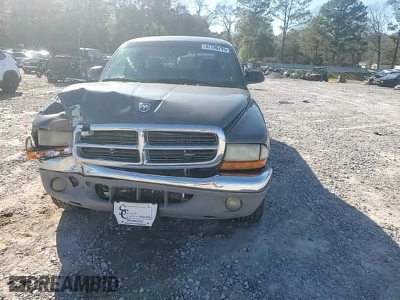2003 Dodge Dakota SLT with VIN 1D7HL42X13S367631, listed as a Copart auction lot 47706795 with 202,616 mi miles and Salvage title. Bid and sale history available at DreamBid. Image 10.