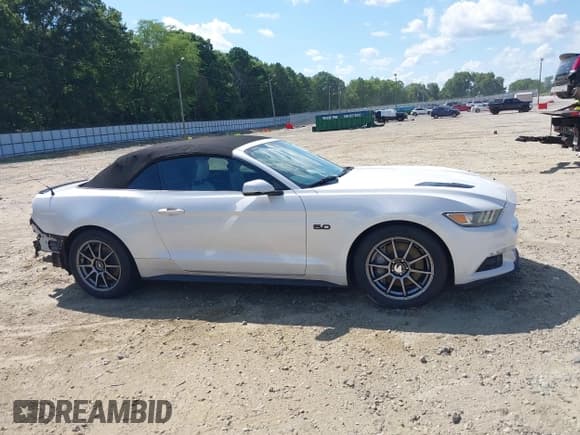 ✅ 2017 Ford Mustang GT Premium • VIN: 1FATP8FF2H5295125 • Lot: 42656996. Wystawiony na IAAI z przebiegiem 130 568 mil. Bezpłatny archiwum sprzedaży aukcyjnych z USA i szczegółowy raport historii pojazdu na DreamBid. Zdjęcie 14.