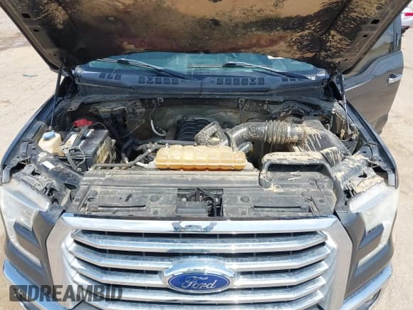 ✅ 2016 Ford F-150 XLT • VIN: 1FTEW1EF3GFB93744 • Лот: 42529885. Опубликован ранее на IAAI с пробегом 208 508 миль. Бесплатный доступ к архиву аукционных продаж из США и подробный отчёт об истории автомобиля на DreamBid. Изображение 10.