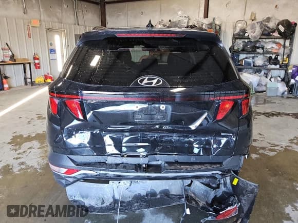 ✅ 2024 Hyundai Tucson SEL • VIN: 5NMJBCDE6RH347142 • Lot: 81225424. Wystawiony na Copart z przebiegiem 36 479 mil. Bezpłatny archiwum sprzedaży aukcyjnych z USA i szczegółowy raport historii pojazdu na DreamBid. Zdjęcie 6.