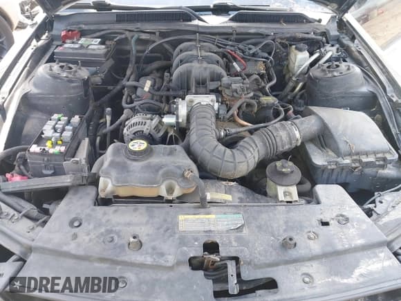 ✅ 2009 Ford Mustang • VIN: 1ZVHT80N595126825 • Lot: 42551097. Listed on IAAI with Not provided. Free auction sales archive from the USA and detailed vehicle history report at DreamBid. Image 10.