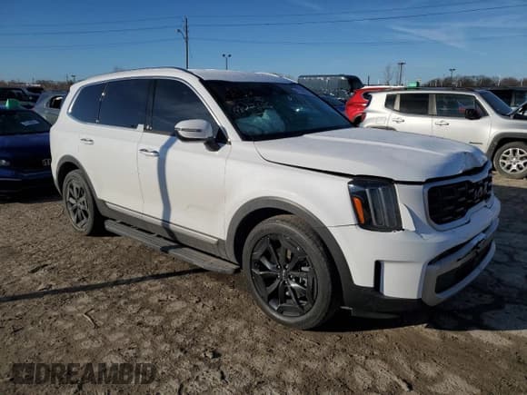 ✅ 2023 Kia Telluride S • VIN: 5XYP6DGC7PG346152 • Lot: 47249235. Listed on Copart with 27,096 mi. Free auction sales archive from the USA and detailed vehicle history report at DreamBid. Image 4.