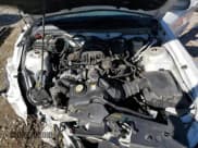 ✅ 2007 Ford Mustang Deluxe • VIN: 1ZVFT80N675295675 • Лот: 91176335. Опубликован ранее на Copart с пробегом 141 739 миль. Бесплатный доступ к архиву аукционных продаж из США и подробный отчёт об истории автомобиля на DreamBid. Изображение 11.