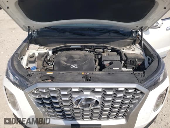 ✅ 2022 Hyundai Palisade SEL • VIN: KM8R4DHE3NU401881 • Lot: 44163025. Wystawiony na Copart z przebiegiem 42 925 mil. Bezpłatny archiwum sprzedaży aukcyjnych z USA i szczegółowy raport historii pojazdu na DreamBid. Zdjęcie 12.