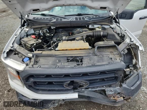 ✅ 2021 Ford F-150 XL • VIN: 1FTEX1EB3MKF11746 • Лот: 81979155. Опубликован ранее на Copart с пробегом 76 053 миль. Бесплатный доступ к архиву аукционных продаж из США и подробный отчёт об истории автомобиля на DreamBid. Изображение 11.