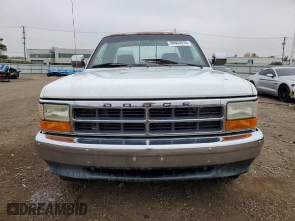 1995 Dodge Dakota with VIN 1B7GL23X8SS246747, listed as a Copart auction lot 86803915 with 132,433 mi miles and Salvage title. Bid and sale history available at DreamBid. Image 5.